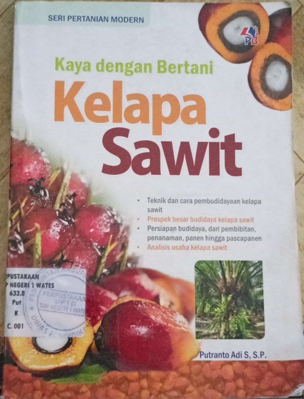 Kaya Dengan Bertani Kelapa Sawit